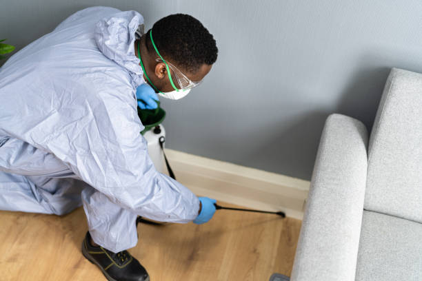 Best Residential Pest Control  in Blissfield, MI